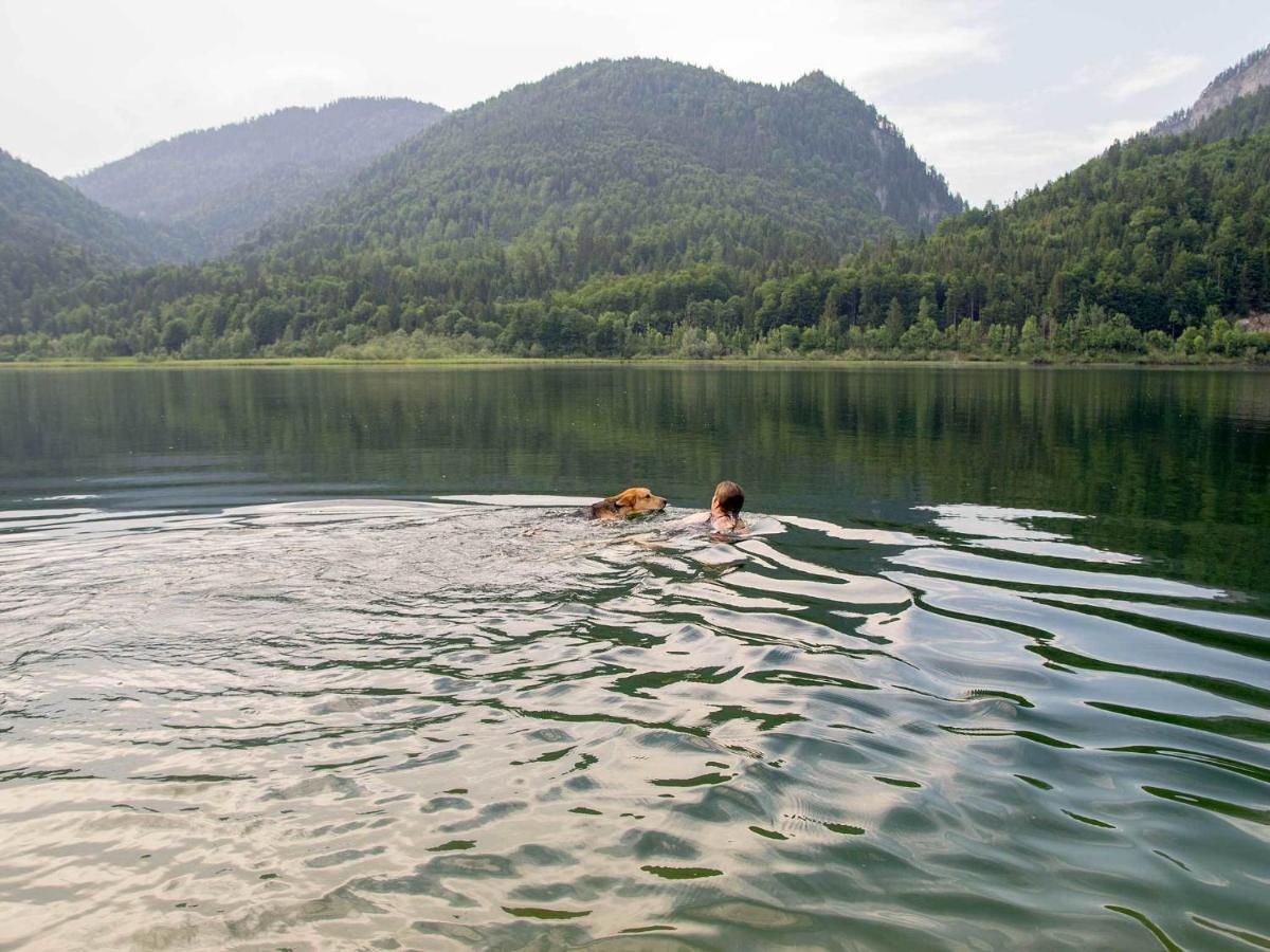 Отель Haus Wildbach Райт-им-Винкль Экстерьер фото